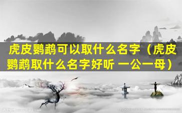 虎皮鹦鹉可以取什么名字（虎皮鹦鹉取什么名字好听 一公一母）